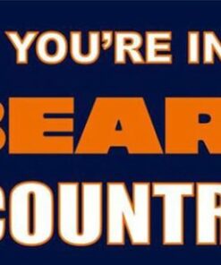 Chicago Bears Digital Sport Flag 3X5 Ft Polyester Banner USA 90x150cm