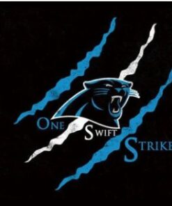 Carolina Panthers ONE SWIFT STRIKE Flag 3X5 Ft Polyester Banner USA 90x150cm