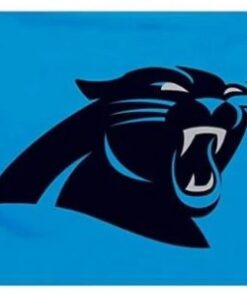 Carolina Panthers Blue US Flag 3X5 Ft Polyester Banner USA 90x150cm