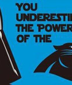 Carolina Panthers Team US Flag 3X5 Ft Polyester Banner USA 90x150cm