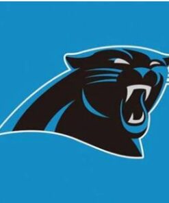 Carolina Panthers Logo Stripe Flag 3X5 Ft Polyester Banner USA 90x150cm