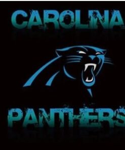 Carolina Panthers Sport Flag 3X5 Ft Polyester Banner USA 90x150cm