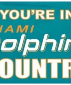 Miami Dolphins You Are In Flag 3X5 Ft Polyester Banner USA 90x150cm