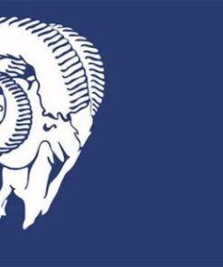 Los Angeles Rams Club Sports Flag 3X5 Ft Polyester Banner USA 90x150cm