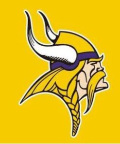 Minnesota Vikings Logo Sport Team Flag 3X5 Ft Polyester Banner USA 90x150cm