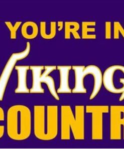 Minnesota Vikings You Are In Country Flag 3X5 Ft Polyester Banner USA 90x150cm