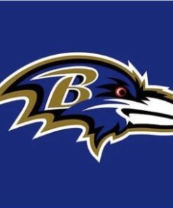 Baltimore Ravens Flag 3X5 Ft Polyester Banner USA 90x150cm