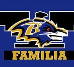 Baltimore Ravens Familia Flag 3X5 Ft Polyester Banner USA 90x150cm