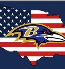 Baltimore Ravens US Flag 3X5 Ft Polyester Banner USA 90x150cm