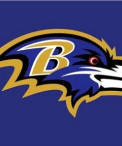Baltimore Ravens Team Flag 3X5 Ft Polyester Banner USA 90x150cm