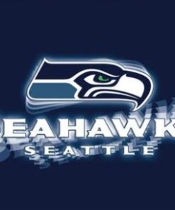 Seattle Seahawks Team US Flag 3X5 Ft Polyester Banner USA 90x150cm