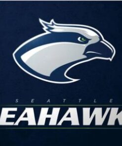 Seattle Seahawks Sport Club Flag 3X5 Ft Polyester Banner USA 90x150cm