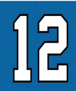 Seattle Seahawks 12 Flag 3X5 Ft Polyester Banner USA 90x150cm