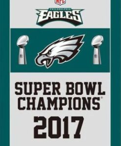 Philadelphia Eagles Super Bowl Champions 2017 Flag 3X5 Ft Polyester Banner USA 90x150cm