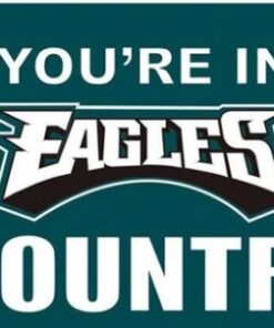 Philadelphia Eagles You Are In Country Flag 3X5 Ft Polyester Banner USA 90x150cm
