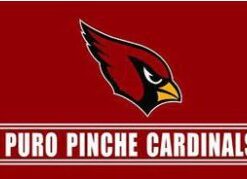 Arizona Cardinals Puro Pinche Sports Flag 3X5 Ft Polyester Banner USA 90x150cm