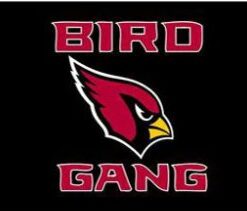 Arizona Cardinals Club Flag 3X5 Ft Polyester Banner USA 90x150cm