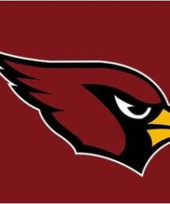 Arizona Cardinals Team Flag 3X5 Ft Polyester Banner USA 90x150cm