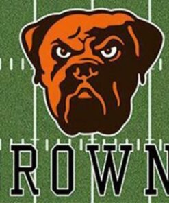 Cleveland Browns Green Flag 3X5 Ft Polyester Banner USA 90x150cm