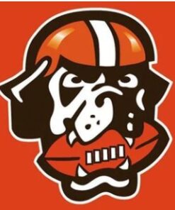 Cleveland Browns Team Flag 3X5 Ft Polyester Banner USA 90x150cm