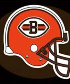 Cleveland Browns Team US Flag 3X5 Ft Polyester Banner USA 90x150cm