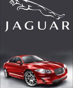 Jaguar Vertical Flag 3X5 Ft Polyester Banner USA 90x150cm