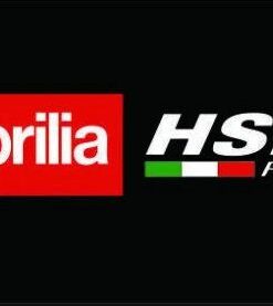 Aprilia Lion Motorcycle Racing Flag 3X5 Ft Polyester Banner USA 90x150cm