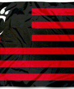 Cincinnati Bearcats Stars and Stripes Nation flag 3X5ft Banner USA Polyester with 2 Brass Grommets