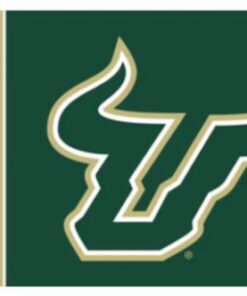 South Florida Bulls Sport Team Flag 3X5ft Banner USA Polyester with 2 Brass Grommets