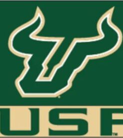 South Florida Bulls Sport Flag 3X5ft Banner USA Polyester with 2 Brass Grommets