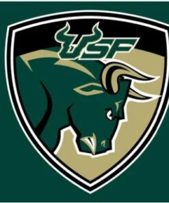 South Florida Bulls USA Flag 3X5ft Banner USA Polyester with 2 Brass Grommets