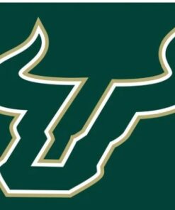 South Florida Bulls USA Sport Flag 3X5ft Banner USA Polyester with 2 Brass Grommets
