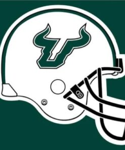 South Florida Bulls Helmet Flag 3X5ft Banner USA Polyester with 2 Brass Grommets
