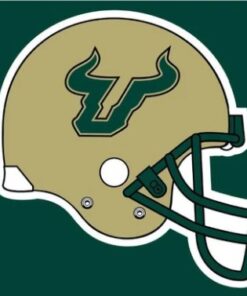 South Florida Bulls Helmet USA Flag 3X5ft Banner USA Polyester with 2 Brass Grommets