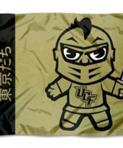 UCF Knights Yellow Club Flag 3X5ft Banner USA Polyester with 2 Brass Grommets