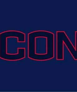 Connecticut Huskies Logo Sport Flag 3X5ft Banner USA Polyester with 2 Brass Grommets