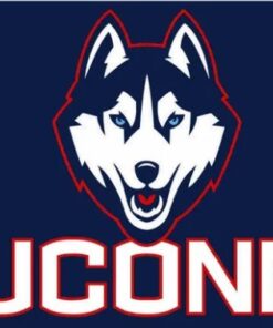 Connecticut Huskies Hand USA Flag 3X5ft Banner Polyester with 2 Brass Grommets