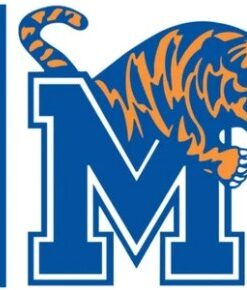 Memphis Tigers Polyester Blue Flag 3X5ft Banner Polyester with 2 Brass Grommets