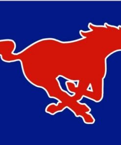 Southern Methodist Mustangs USA Flag 3X5ft Banner Polyester with 2 Brass Grommets