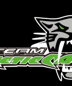 Arctic Cat Black Team Flag 3X5 Ft Polyester Banner USA 90x150cm