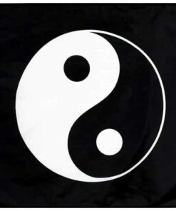 3x5FT Yin Yang Flag Vivid Color Taoism Dorm Man Cave Garage Yoga