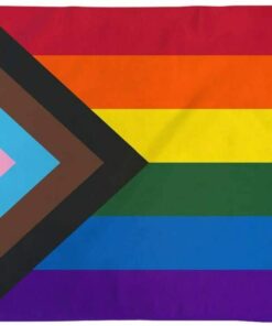 Progress Pride Large Flag 3x5FT Gay Lesbian LGBTQ Community Trans Color