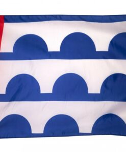 Large Flag Des Moines Flying Flag 3x5FT Banner IOWA Midwest State USA IA Dorm