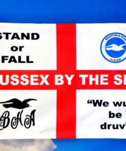 Brighton Football Club Flag Stand or Fall 3x5ft Banner polyester