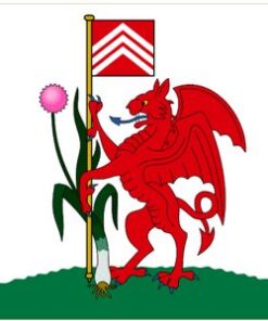 Cardiff City Wales Flag 3x5ft Banner Polyester