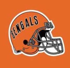Cincinnati Bengals Helmet Flag 3X5 Ft Polyester Banner USA 90x150cm