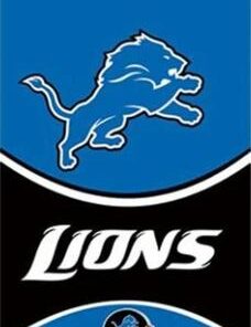 Detroit Lions Blue Vertical Flag 3X5 Ft Polyester Banner USA 90x150cm