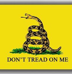 Don't Tread On Me Yellow Memorable flag 3x5ft Outdoor