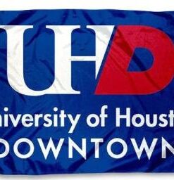 Houston Downtown Gators Flag 3x5ft