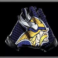 Minnesota Vikings Flag 3x5ft Banner Polyester American Football skol021